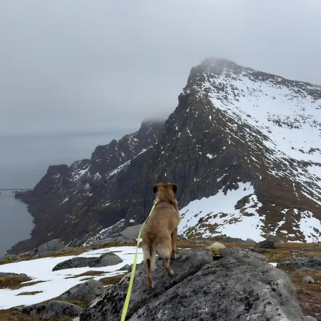 Tiny House - The Lowfo House Lofoten